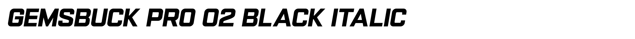 Gemsbuck Pro 02 Black Italic image
